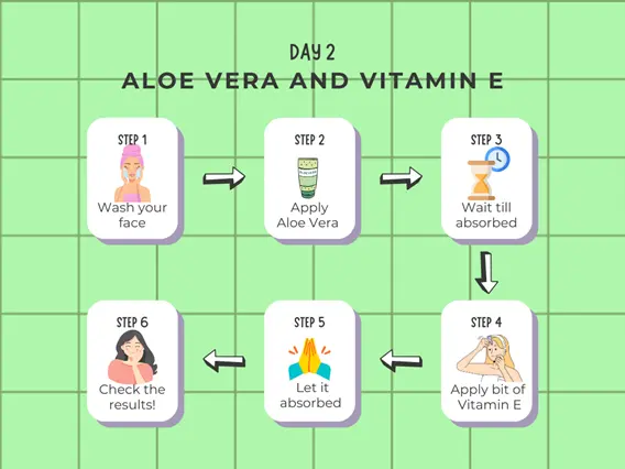 Step-by-step diagram for Aloe Vera and Vitamin E skincare.

