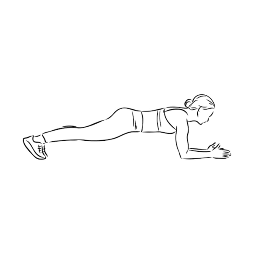 Plank Hold