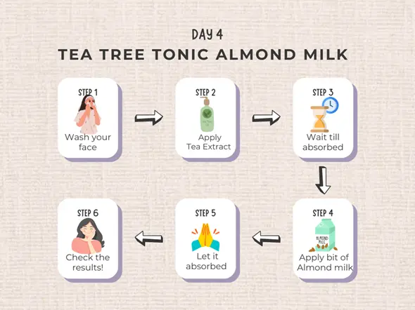DIY skincare routine: Tea tree tonic and almond milk steps explained.


